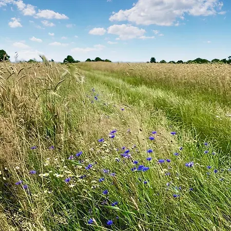 In With Kitchen * Jarosławiec